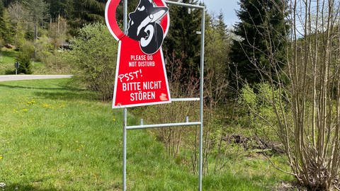 Schild gegen Motorradlärm im Schwarzwald